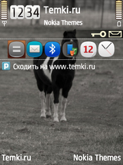 Лошадь для Nokia N93