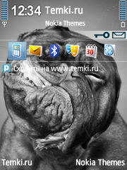 Морда для Nokia 6790 Slide