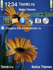 Желтые герберы для Nokia 5500