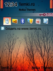Дело к вечеру для Nokia N96