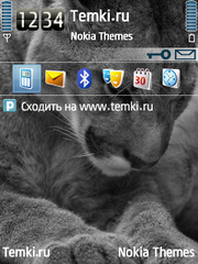 Виноватый для Nokia 6700 Slide