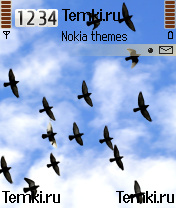Стая птиц для Nokia 6680