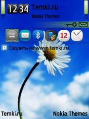 Ромашка для Nokia E73 Mode