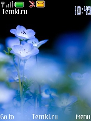 Голубые цветы для Nokia Asha 201
