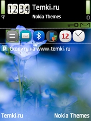 Голубые цветы для Nokia N82