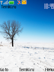 Одинокое дерево в снегу для Nokia 6600i slide