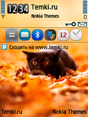 В засаде для Nokia E5-00