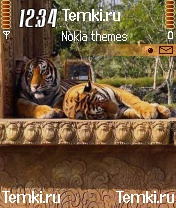 Кошки на окне для Nokia N90