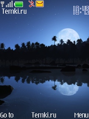 Отражение луны для Nokia 6300