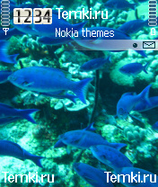 Синие рыбки для Nokia 6638