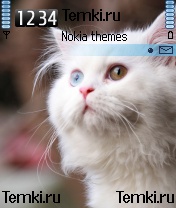 Киса для Nokia N90