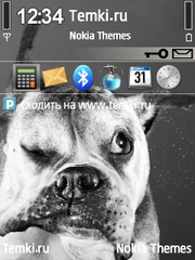 Бульдог для Nokia N95-3NAM