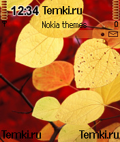 Цвета осени для Nokia N70