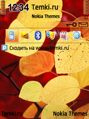 Цвета осени для Nokia E66