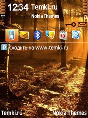 Солнце над лесом для Nokia E66