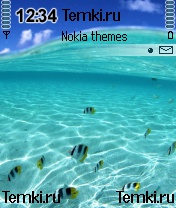 Рыбки под водой для Nokia N90