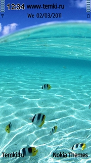 Рыбки под водой для Nokia X6
