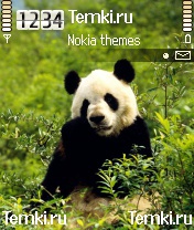 Панда для Nokia N70