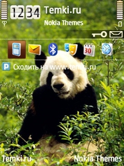 Панда для Nokia N92