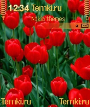 Скриншот №1 для темы Красные тюльпаны