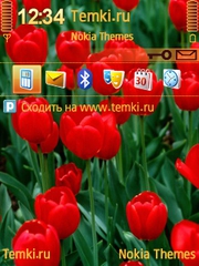 Красные тюльпаны для Nokia 6760 Slide