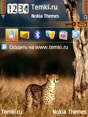 Один в поле для Nokia N82
