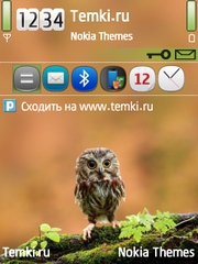 Совушка для Nokia N81