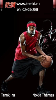 Баскетбол для Nokia N8