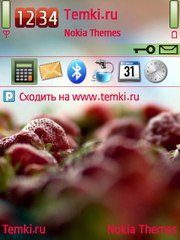 Клубничка для Nokia E73