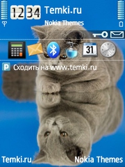 Кот для Nokia 6790 Surge