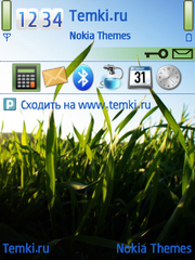 Летний день для Nokia 5730 XpressMusic