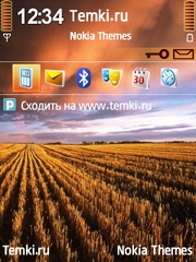 Скошенное поле для Nokia 6650 T-Mobile