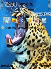 Мяу для Nokia N95-3NAM