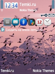 Птички полетели для Nokia 6790 Slide