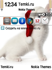 Киса для Nokia N71