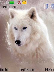 Белый Волк для Nokia 5330 XpressMusic