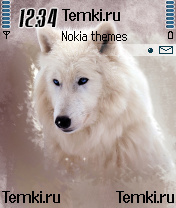 Белый Волк для Nokia 6620