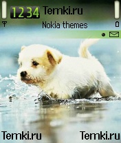 Щенок для Nokia 6260