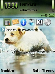 Щенок для Nokia E73 Mode