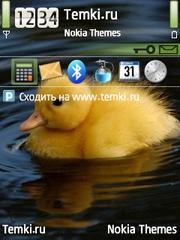 Утенок для Nokia N80