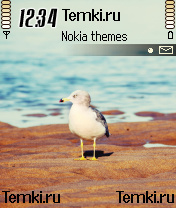 Чайка для Nokia 6638