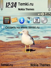 Чайка для Nokia 6760 Slide