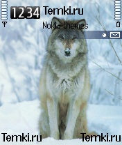 Волк для Nokia 6620