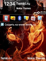Огненный цветок для Nokia N95
