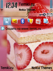 Пирог для Nokia 6110 Navigator