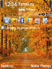 Золотая осень для Nokia E60