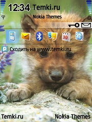 Волк для Nokia E5-00