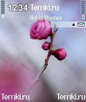 Розовый цветок для Nokia 6260