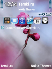 Розовый цветок для Nokia N95