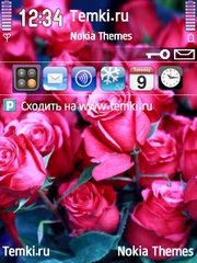 Бутоны Розы для Nokia N95